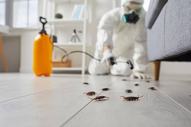 Trusted Cockroach Control service in East Cleveland, OH - Nex Pest Control
