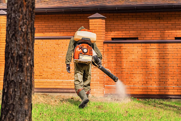 Trusted Mosquito Control service in East Cleveland, OH - Nex Pest Control